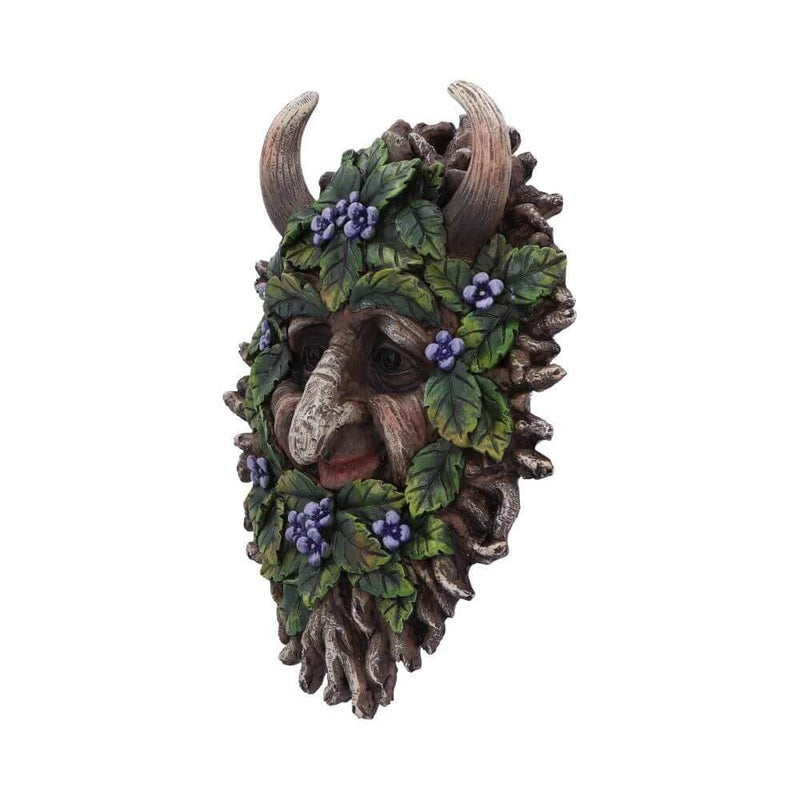 Alder Wall Mounted Tree Spirit