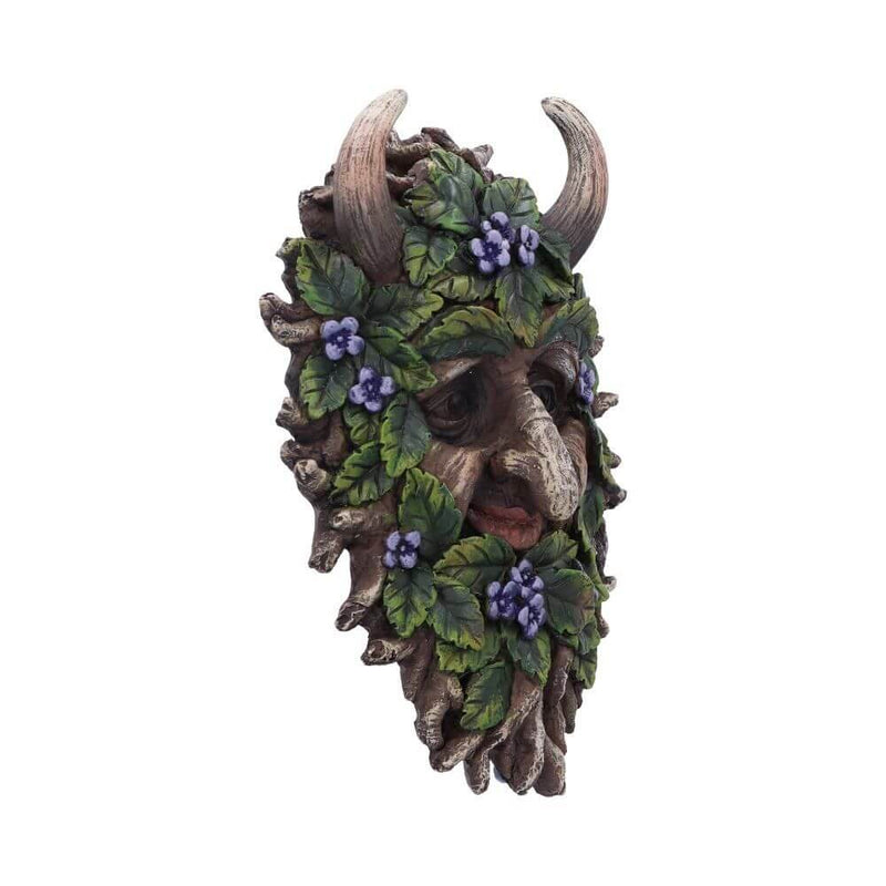 Alder Wall Mounted Tree Spirit