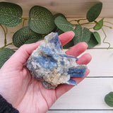 Blue Kyanite in Quartz 75mm