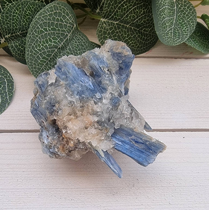 Blue Kyanite in Quartz 75mm