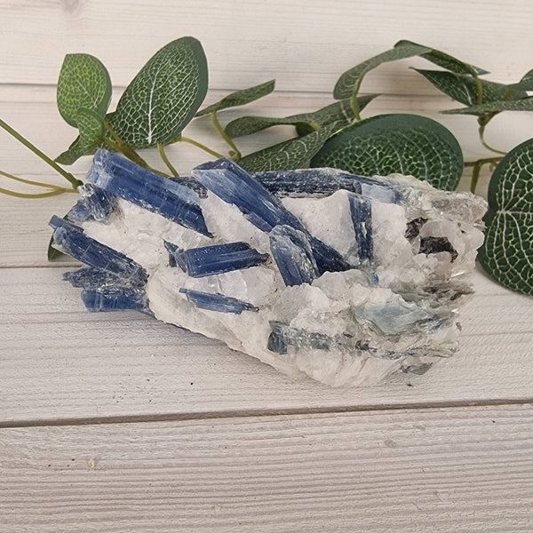 Blue Kyanite in Quartz - Large