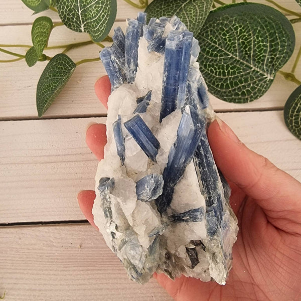 Blue Kyanite in Quartz - Large