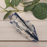 Blue Kyanite in Quartz - Small