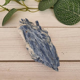 Blue Kyanite in Quartz - Small