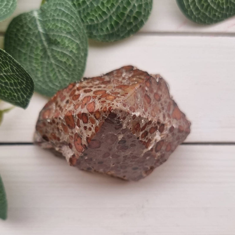 Leopardskin Jasper Top Polished Point Tower 80mm