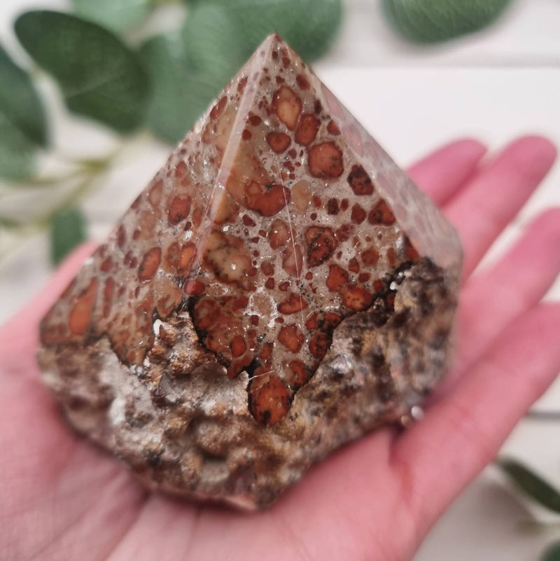 Leopardskin Jasper Top Polished Point Tower 80mm