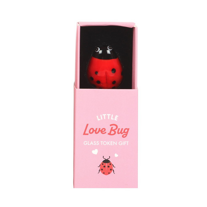 Little Love Bug Glass Token Gift