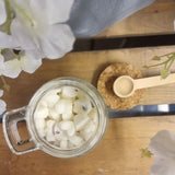 Sea Salt & Driftwood Melting Pot Wax Melts by Hollie Tree