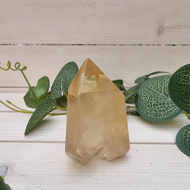 Natural Citrine Point 126g