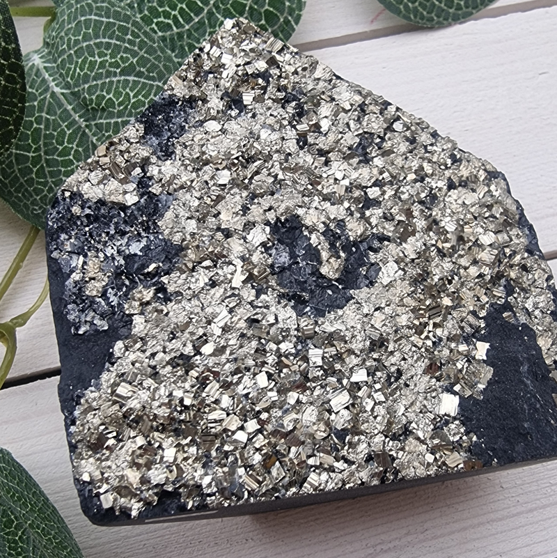 Pyrite in Basalt Matrix with Cut Base