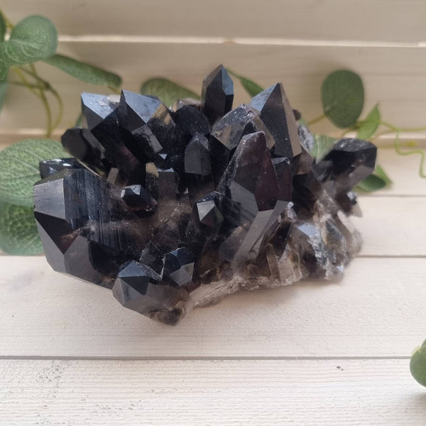 Arkansas Smokey Quartz Cluster XL