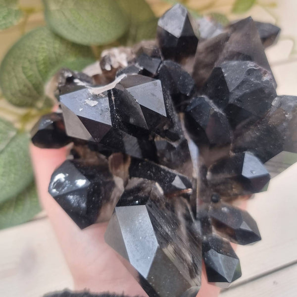 Arkansas Smokey Quartz Cluster XL