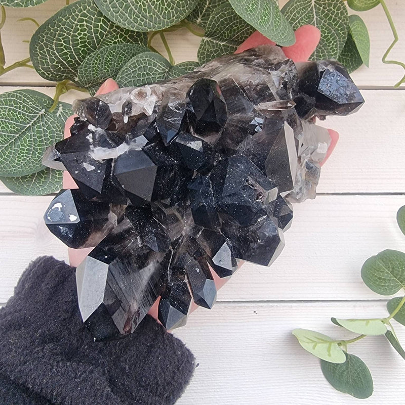 Arkansas Smokey Quartz Cluster XL