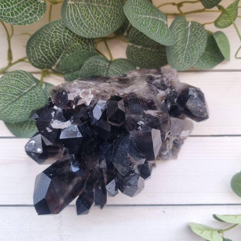 Arkansas Smokey Quartz Cluster XL